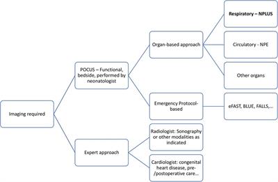 Neonatologist performed lung ultrasound: NPLUS—proposal for a consistent ultrasound terminology